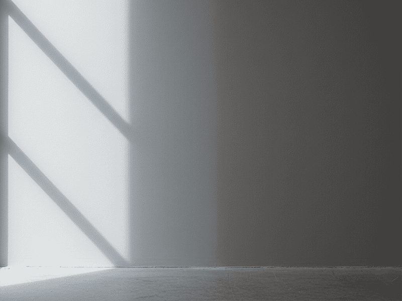 The same grey wall shown half in bright sunlight and half in shadow.