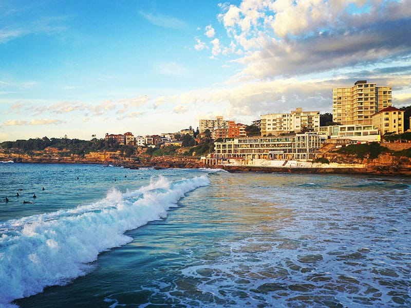 Painters in Bondi