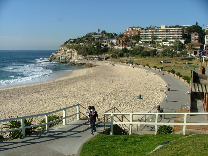 Painters in Bronte