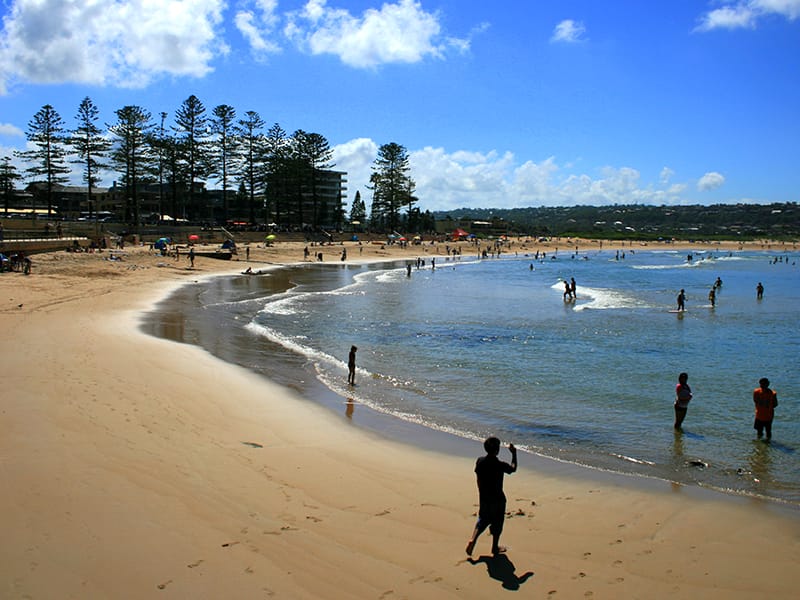Painters in Dee Why