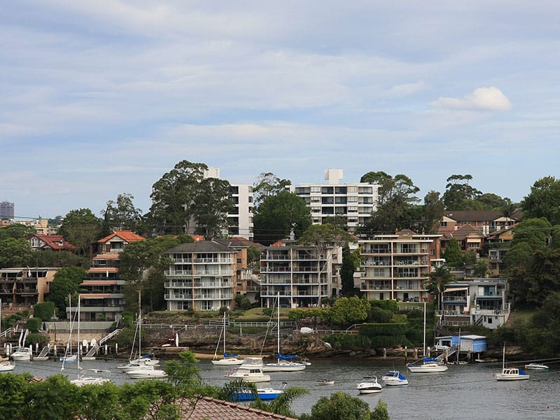 Painters in Drummoyne