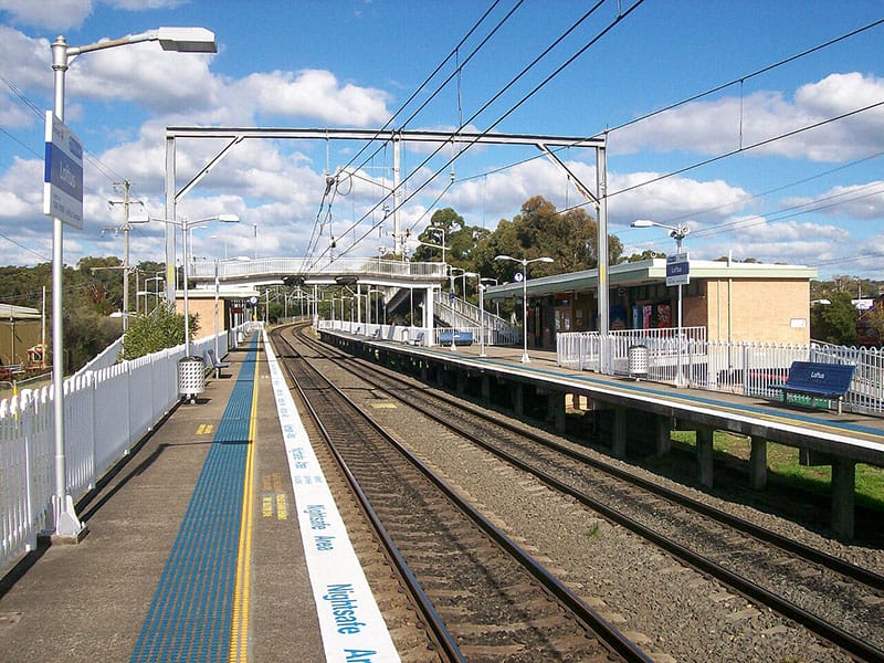 Painters in Loftus