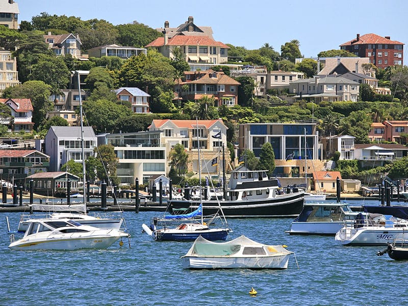 Painters in Rose Bay