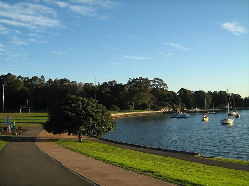 Painters in Rozelle