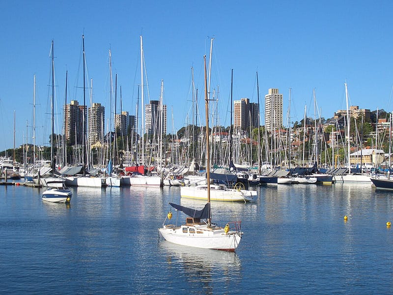 Painters in Rushcutters Bay