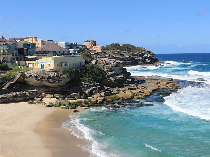 Painters in Tamarama